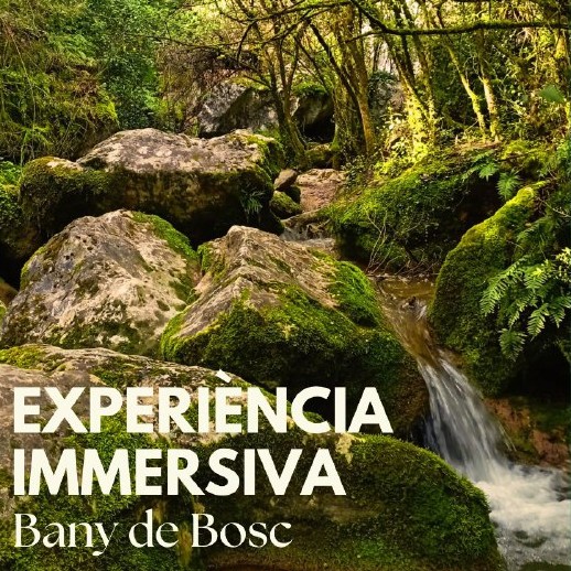 Experiència immersiva. Bany de bosc