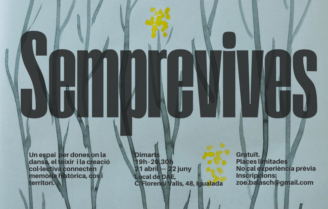 Taller de dansa comunitària